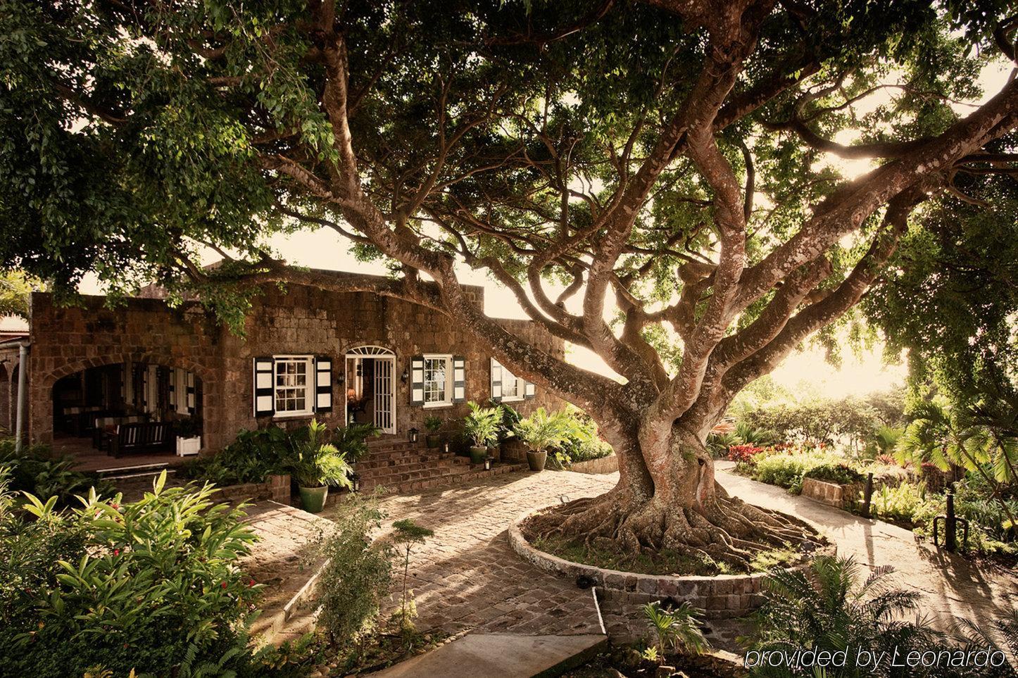 Montpelier Plantation & Beach Чарльзтаун Экстерьер фото
