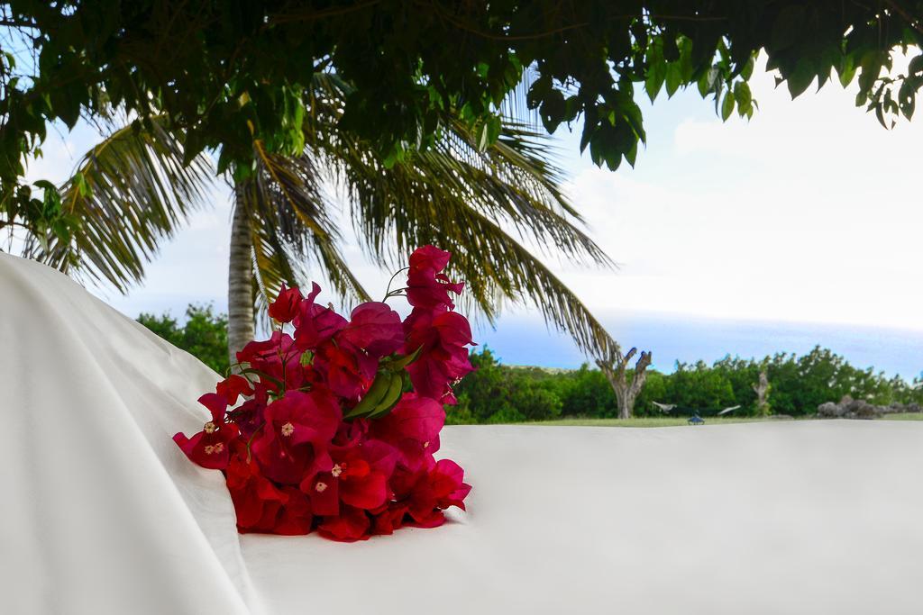 Montpelier Plantation & Beach Чарльзтаун Экстерьер фото